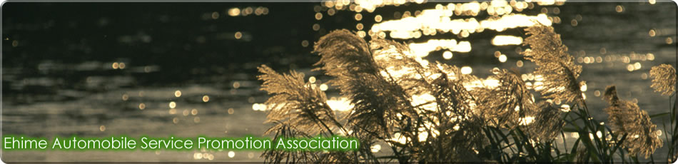 Ehime Automobile Service Promotion Association